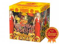 Красивая жизнь Фейерверк купить в Спасске-Дальнем | spassk-dalnij.salutsklad.ru