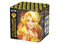 С огоньком! Фейерверк купить в Спасске-Дальнем | spassk-dalnij.salutsklad.ru