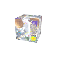 Новогодняя ночь Салют купить в Спасске-Дальнем | spassk-dalnij.salutsklad.ru