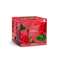 Пионы Салют купить в Спасске-Дальнем | spassk-dalnij.salutsklad.ru