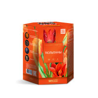 Тюльпаны Салют купить в Спасске-Дальнем | spassk-dalnij.salutsklad.ru