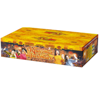 Красота с гарантией Фейерверк купить в Спасске-Дальнем | spassk-dalnij.salutsklad.ru