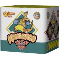 Кенгуру Батарея салютов купить в Спасске-Дальнем | spassk-dalnij.salutsklad.ru