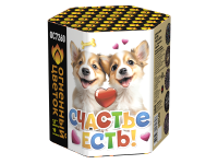 Счастье есть! Салют купить в Спасске-Дальнем | spassk-dalnij.salutsklad.ru