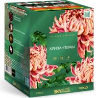 Хризантемы Фейерверк купить в Спасске-Дальнем | spassk-dalnij.salutsklad.ru