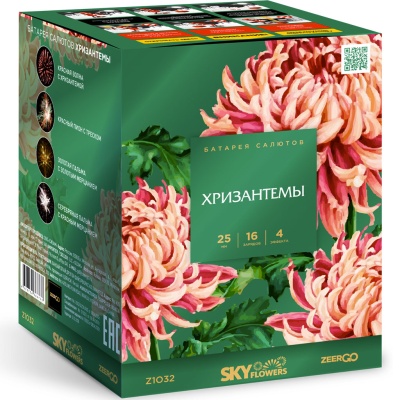 Хризантемы Фейерверк купить в Спасске-Дальнем | spassk-dalnij.salutsklad.ru
