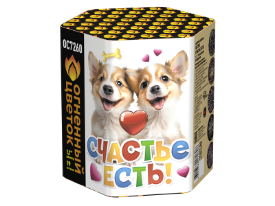 Счастье есть! Салют купить в Спасске-Дальнем | spassk-dalnij.salutsklad.ru