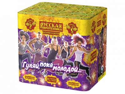 Гуляй, пока молодой Салют купить в Спасске-Дальнем | spassk-dalnij.salutsklad.ru