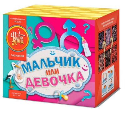 Мальчик или девочка М Фейерверк купить в Спасске-Дальнем | spassk-dalnij.salutsklad.ru